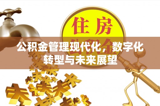山阳公积金管理现代化，数字化转型与未来展望