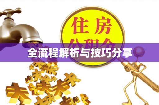 山阳全流程解析与技巧分享